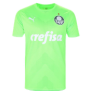 Camisa Palmeiras II 23/24 s/n° Goleiro Puma Masculina – Verde