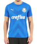 Camisa Puma Palmeiras Goleiro I 2023